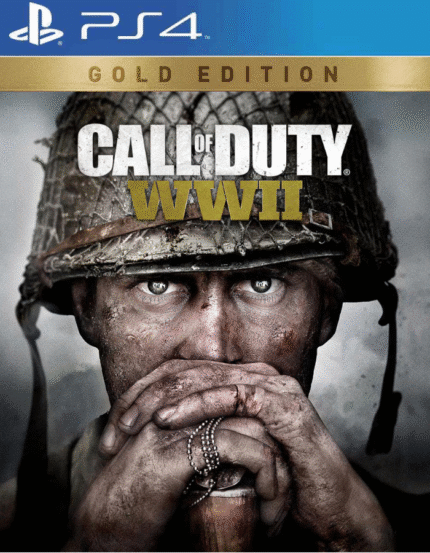 Call of Duty WW2 PS4 - Mídia Digital